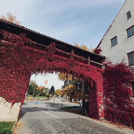 In Altstadt